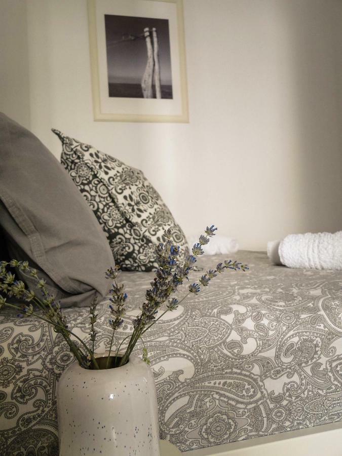 Apartma Na Terasi 伊佐拉 外观 照片